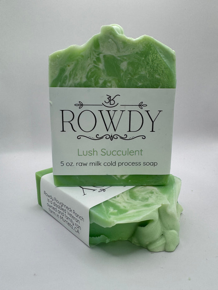 Lush Succulent Raw Milk Soap