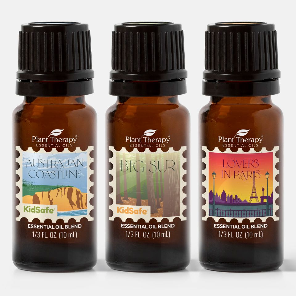 Travel with Me blends